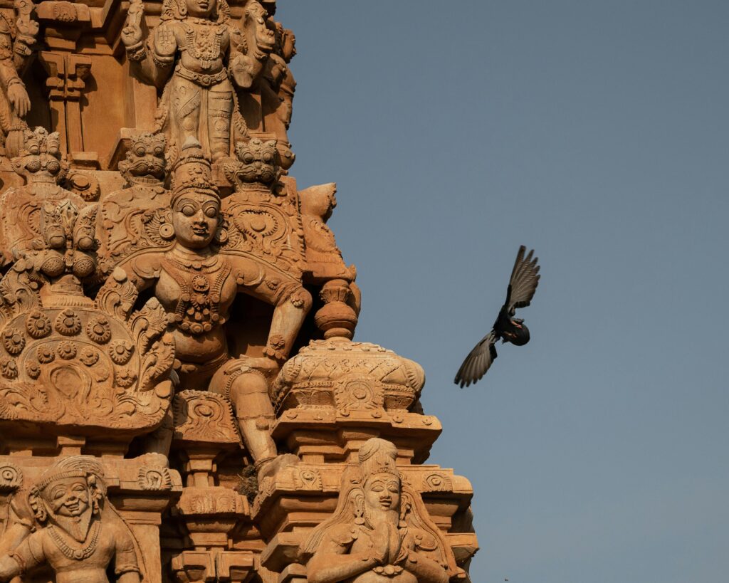 A detailed view of Brihadeshwara Temple's intricate sculptures with a bird in flight against the clear sky in Tamil Nadu, India.